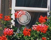 Eyelets-plastic-recyclable.gif